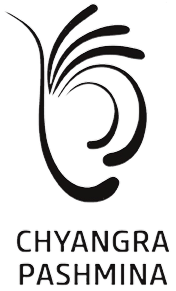 Indecom Soie Logo
